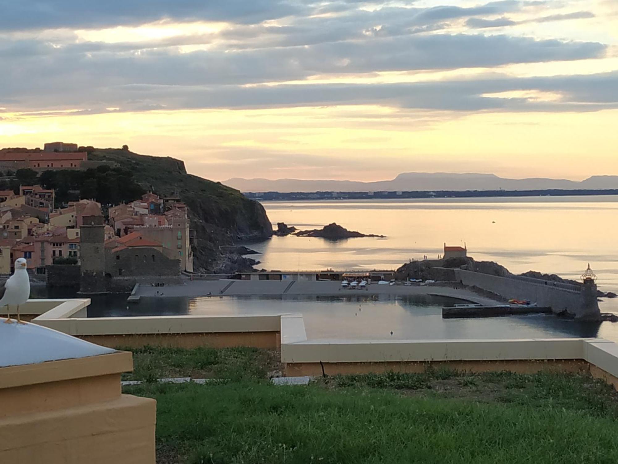 Location Vue Mer Du Samedi Au Samedi, Clim, Parking, Piscine, Plage Collioure Buitenkant foto